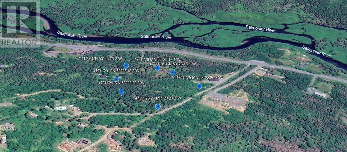 0 Salmonier Line, St.catherines, Newfoundland & Labrador  A0B 1G0 - Photo 1 - 1288559