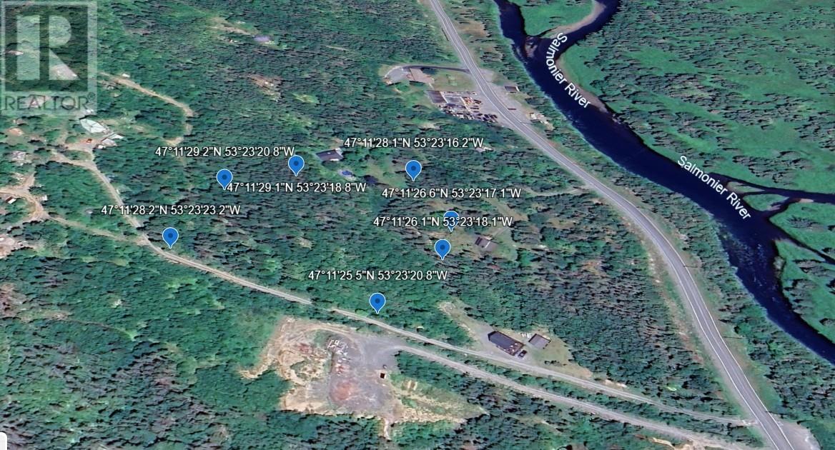 0 Salmonier Line, St.catherines, Newfoundland & Labrador  A0B 1G0 - Photo 10 - 1288559