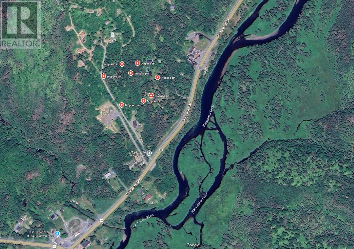 0 Salmonier Line, St.catherines, Newfoundland & Labrador  A0B 1G0 - Photo 2 - 1288559