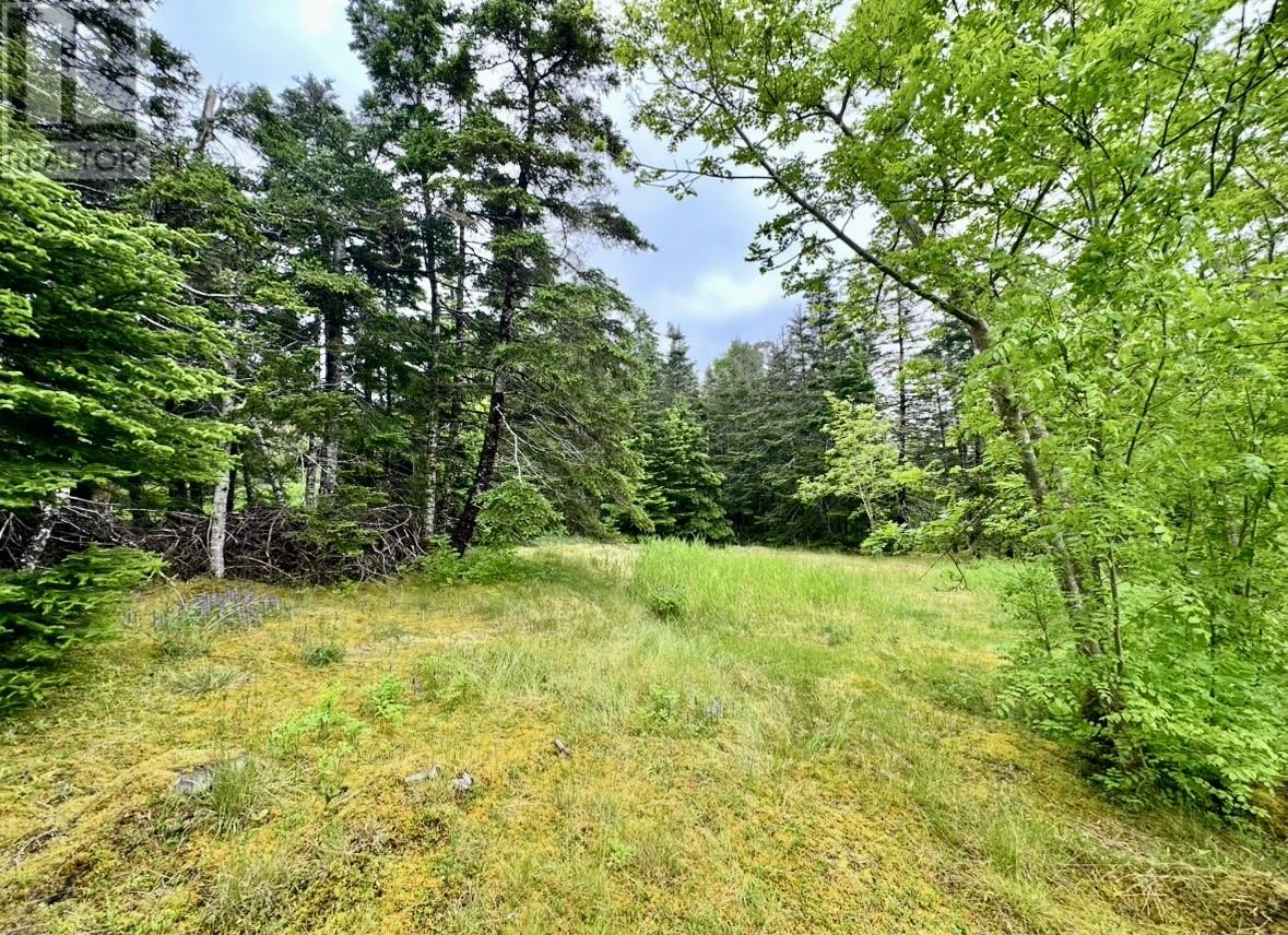 0 Salmonier Line, St.catherines, Newfoundland & Labrador  A0B 1G0 - Photo 5 - 1288559