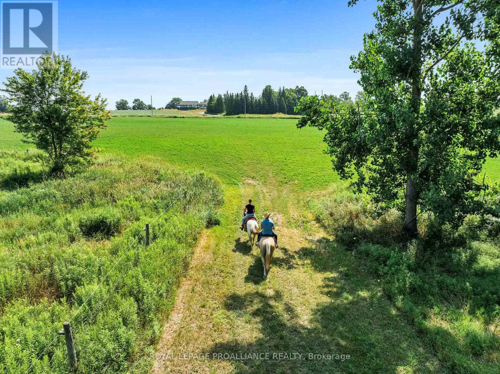 1526 County Road 2, Otonabee-South Monaghan, Ontario  K0L 1B0 - Photo 31 - X12319739