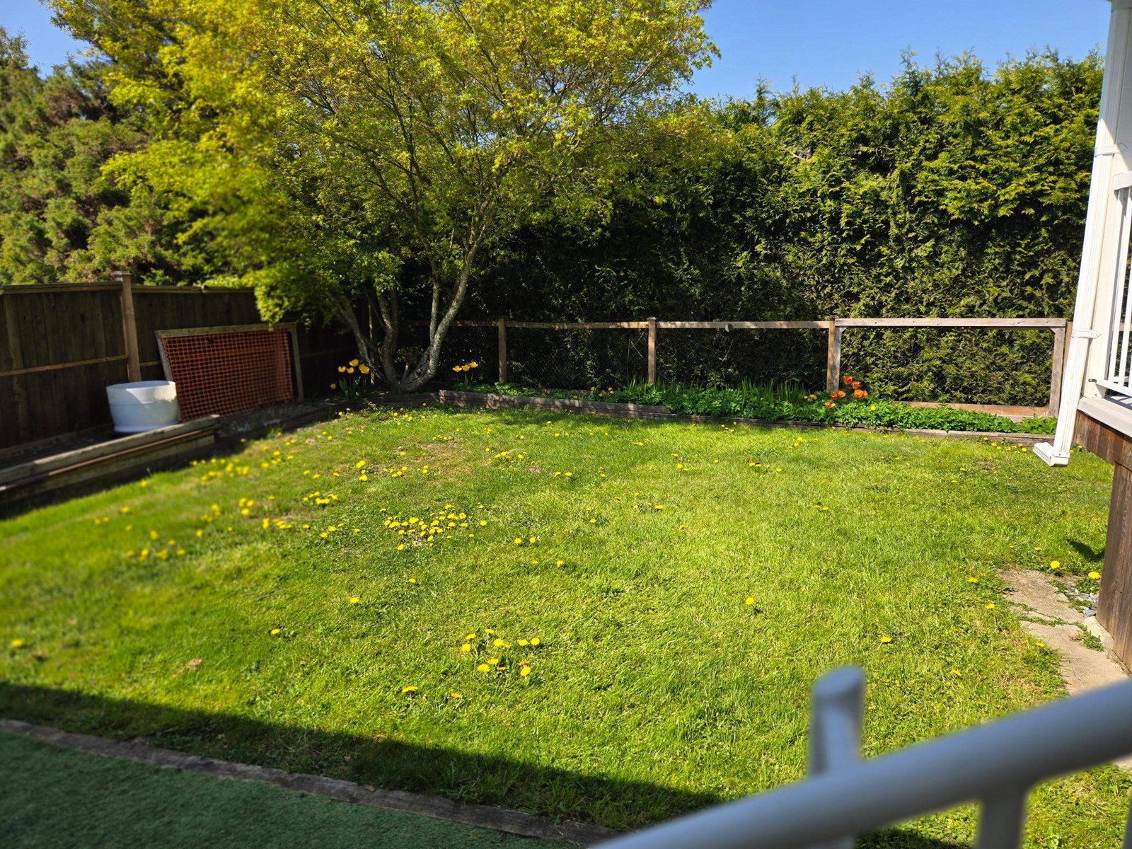 16481 86 Avenue, Surrey, British Columbia  V4N 3G8 - Photo 31 - R3032783