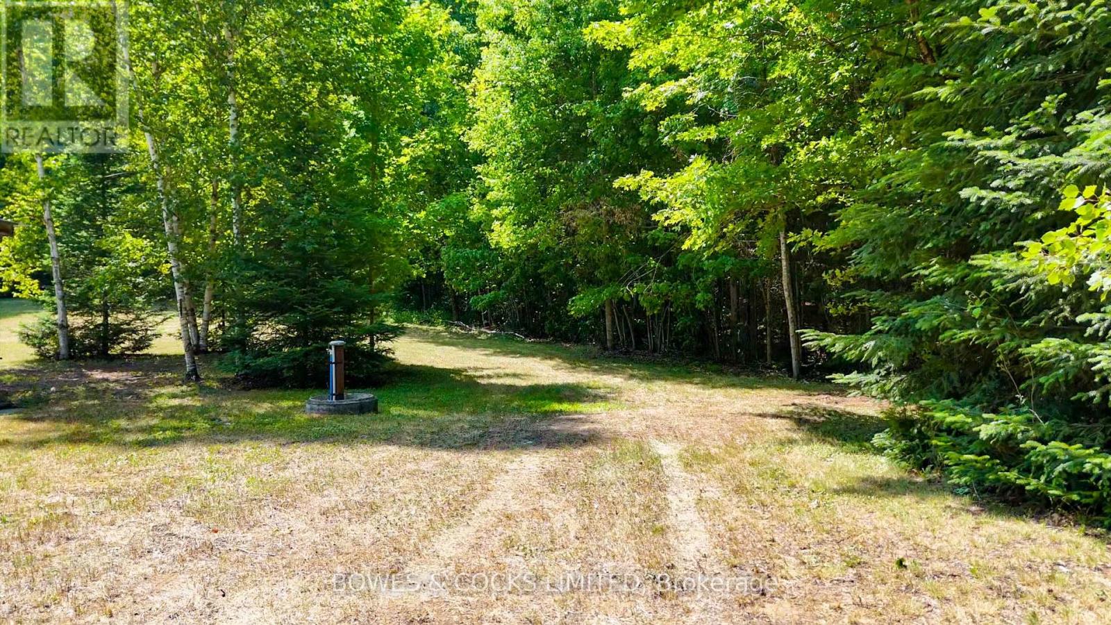 12916 Highway 28, North Kawartha, Ontario  K0L 1A0 - Photo 10 - X12320091