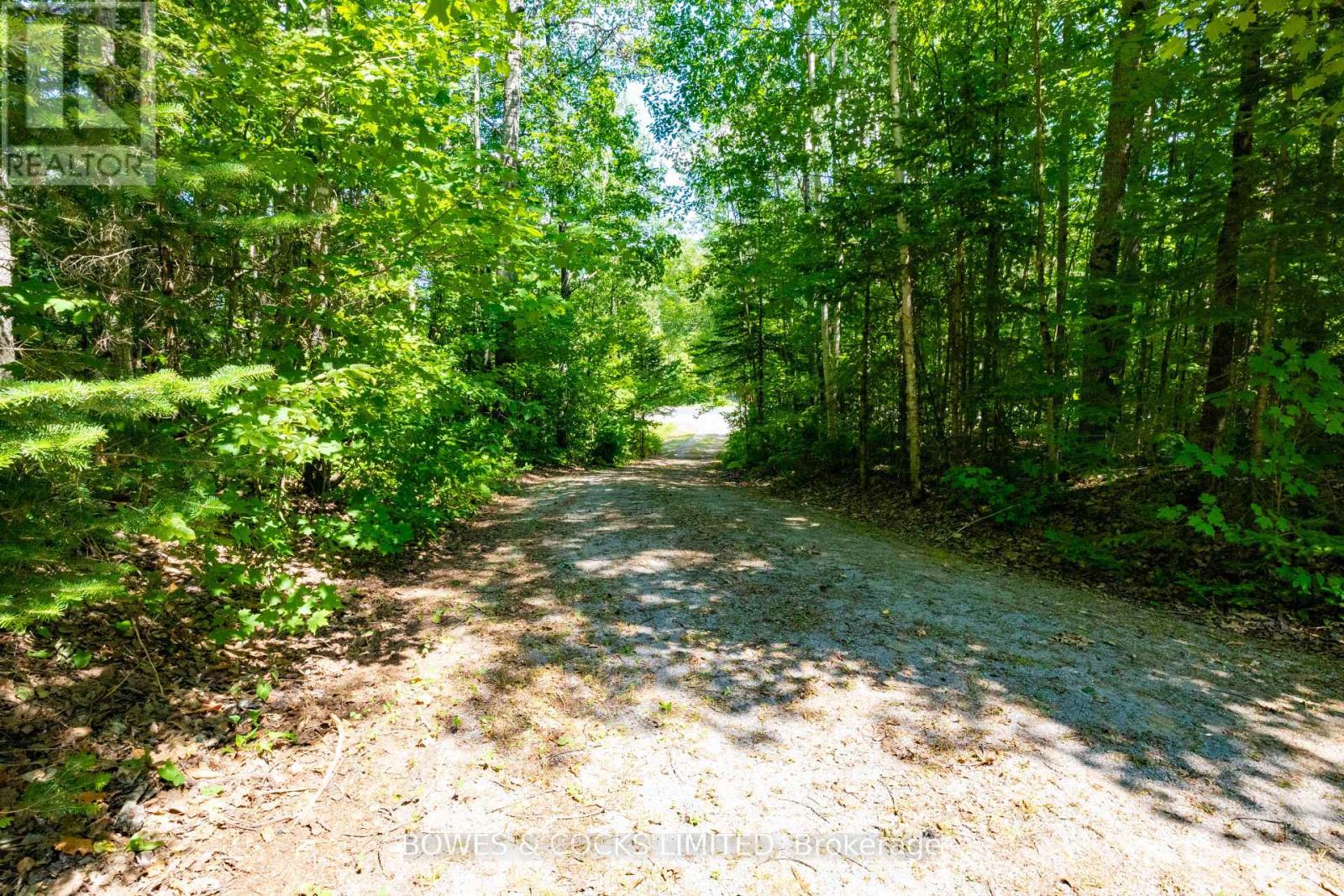 12916 Highway 28, North Kawartha, Ontario  K0L 1A0 - Photo 14 - X12320091