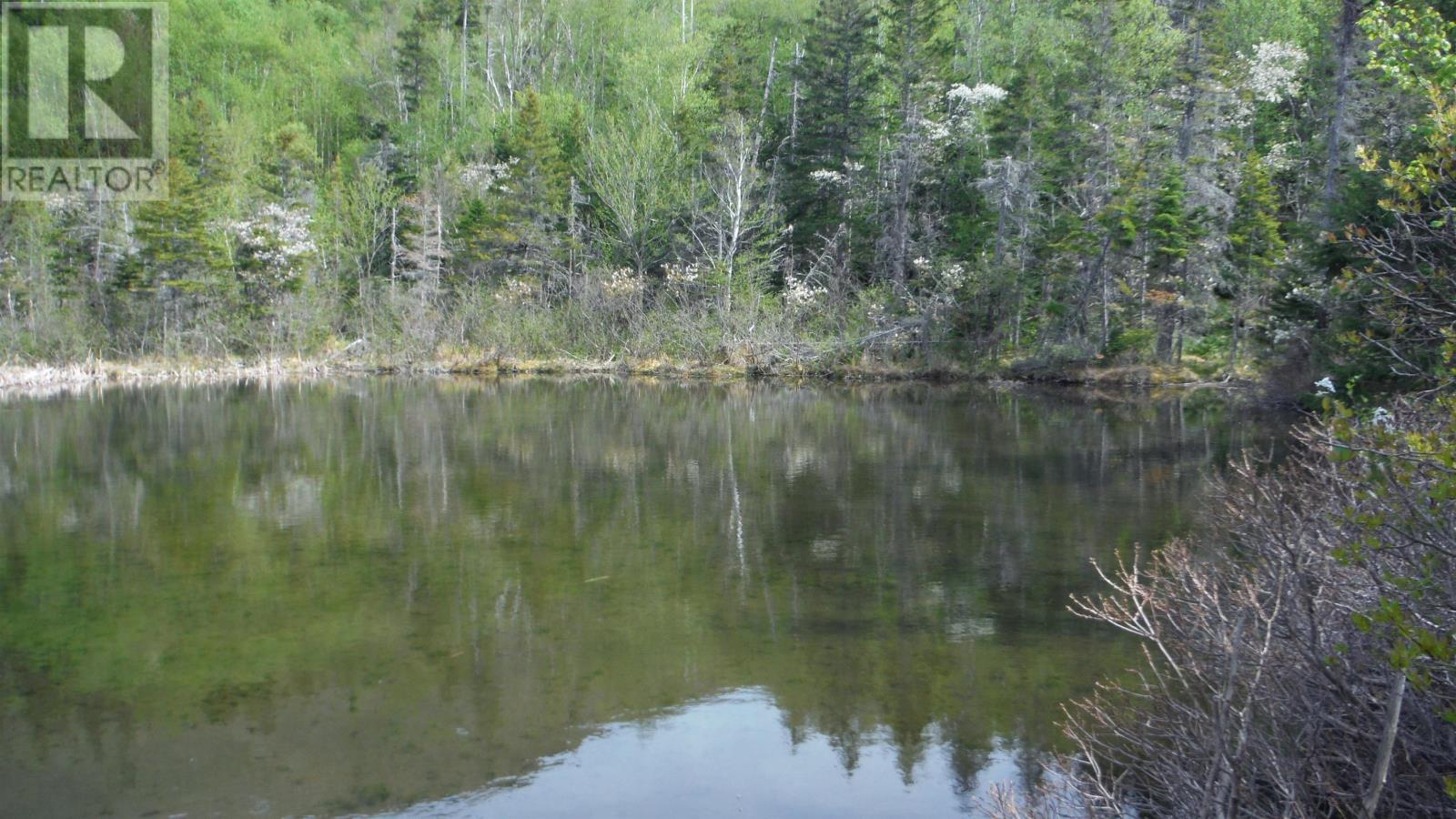 Chemin Du Lac Road, Grand Étang, Nova Scotia  B0E 1L0 - Photo 1 - 202507796