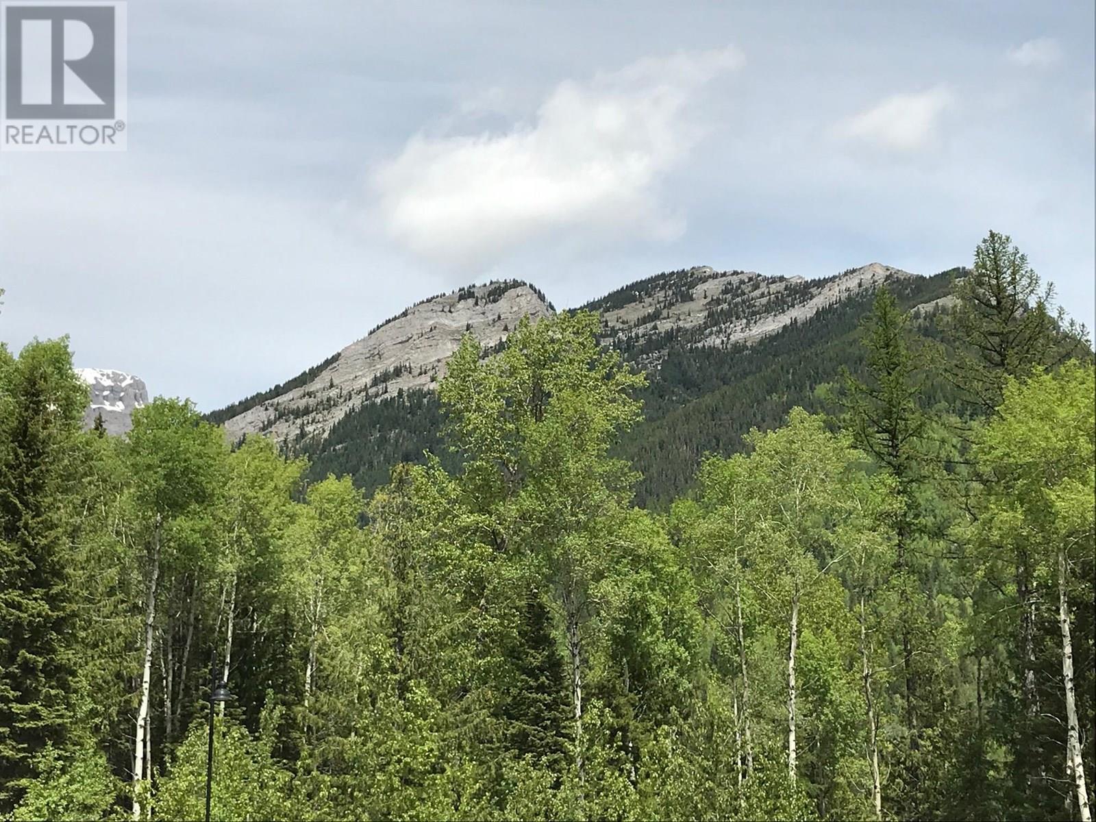 9 Alpine Trail Place Unit# Lot 16, Fernie, British Columbia  V0B 1M5 - Photo 8 - 10357727