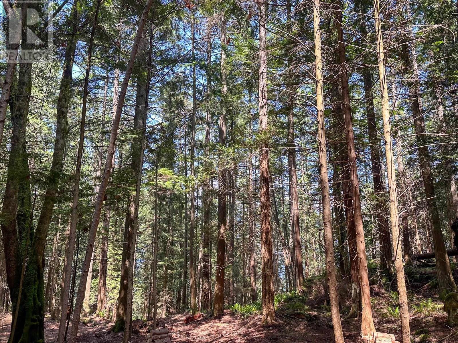 Lot 7 Cotton Point, Keats Island, British Columbia  V0N 1V0 - Photo 35 - R3032791