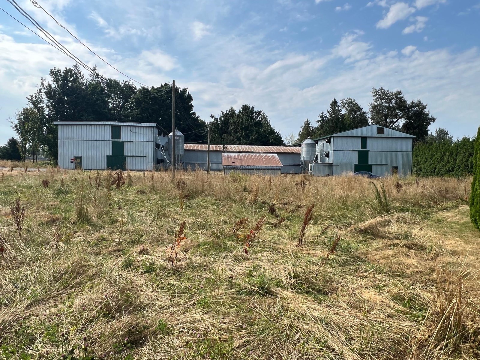 Property at 28622 MYRTLE AVENUE image 3