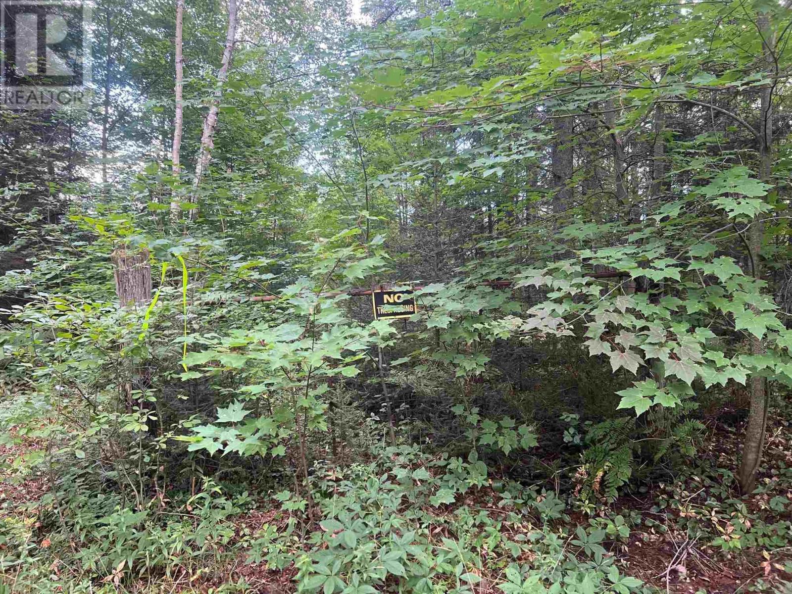 1970 Lee Valley Rd, Espanola, Ontario  P5E 1L3 - Photo 10 - SM242051
