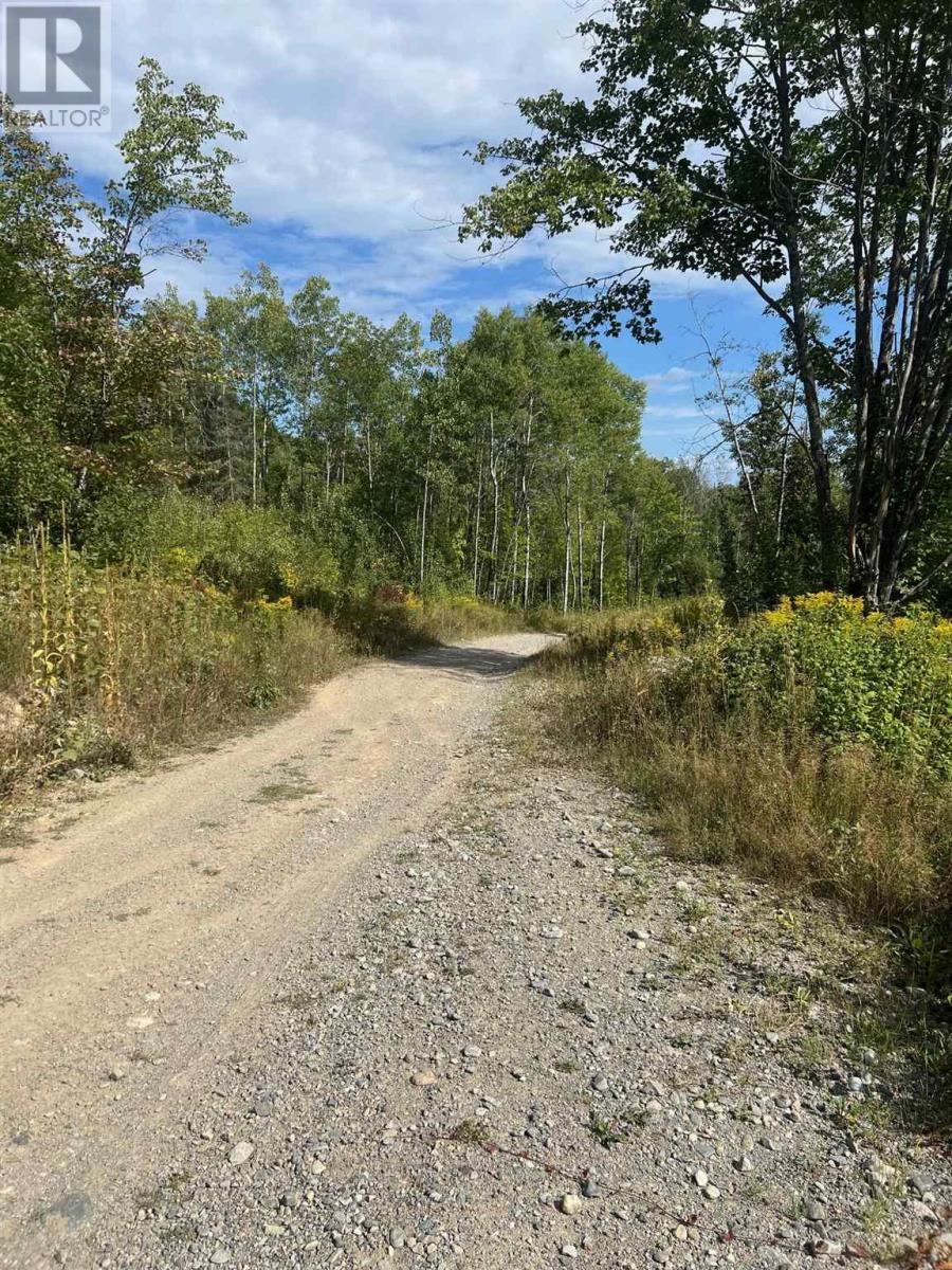 111 Miller Rd, Webbwood, Ontario  P5E 1P6 - Photo 5 - SM242199