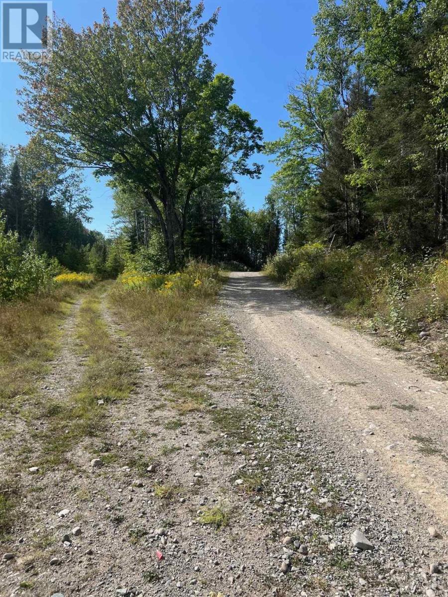 111 Miller Rd, Webbwood, Ontario  P5E 1P6 - Photo 4 - SM242199
