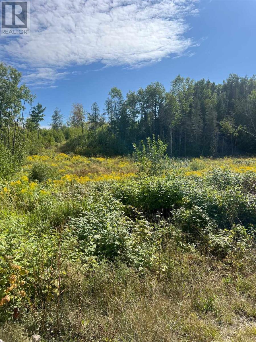 111 Miller Rd, Webbwood, Ontario  P5E 1P6 - Photo 8 - SM242199