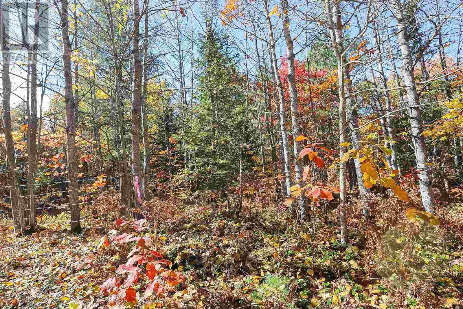 Lot 18 Nokomis Beach Rd, Sault Ste. Marie, Ontario  P6A 5K6 - Photo 3 - SM250058