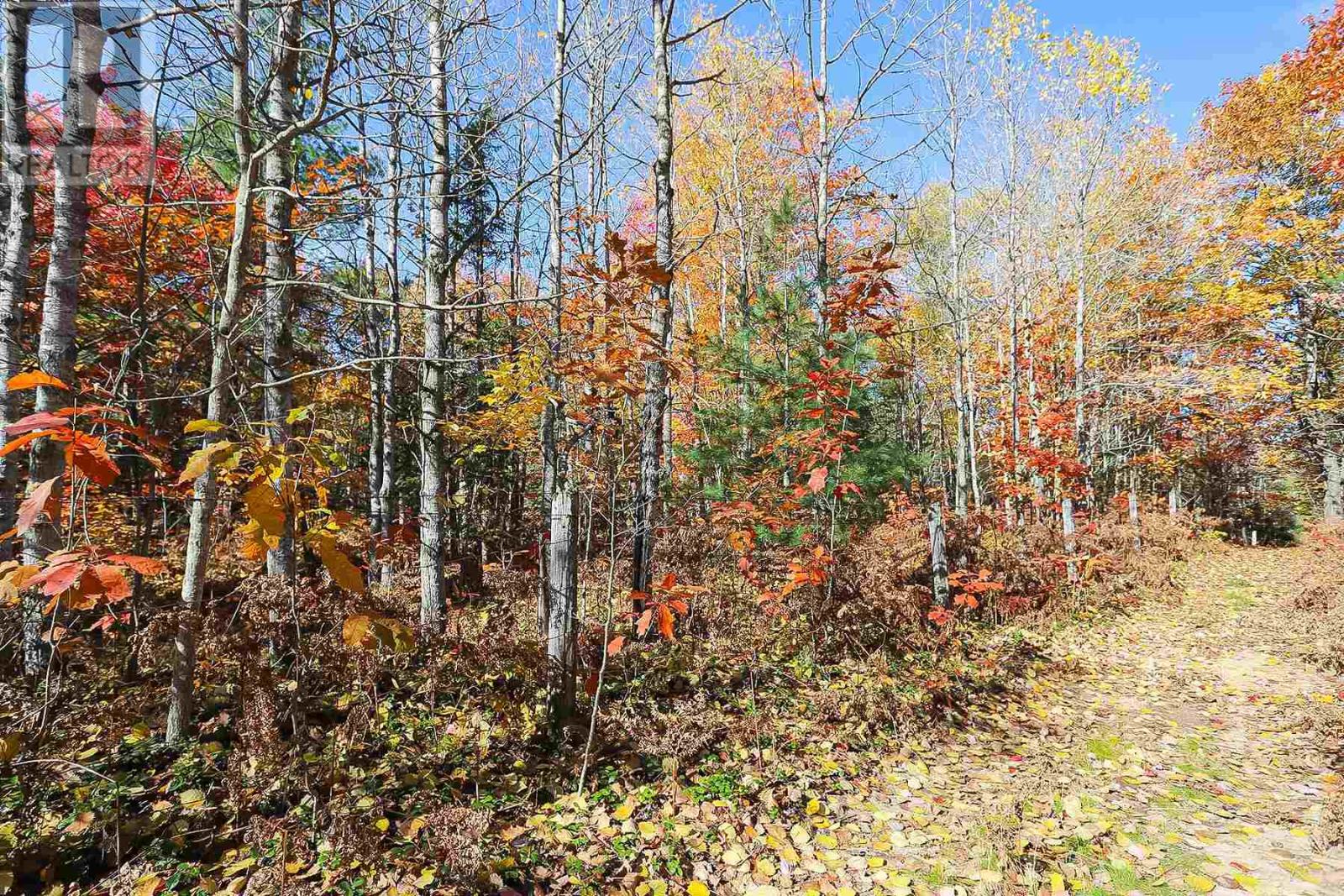 Lot 18 Nokomis Beach Rd, Sault Ste. Marie, Ontario  P6A 5K6 - Photo 4 - SM250058