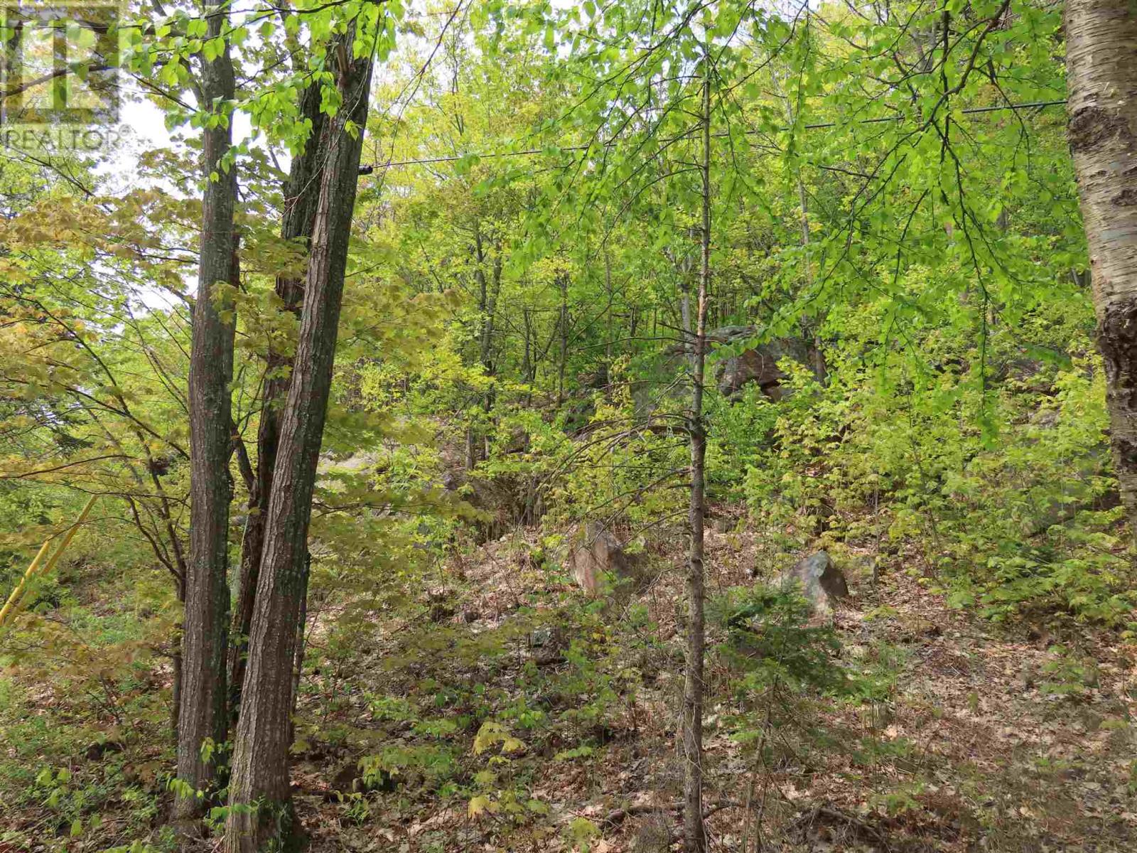 1047 & 1049 Prince Lake Rd, Prince, Ontario  P6A 6K4 - Photo 16 - SM250152