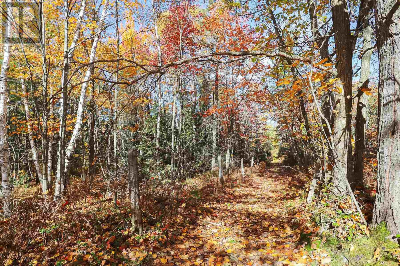 Lot 19 Nokomis Beach Rd, Sault Ste. Marie, Ontario  P6A 5K6 - Photo 8 - SM250059