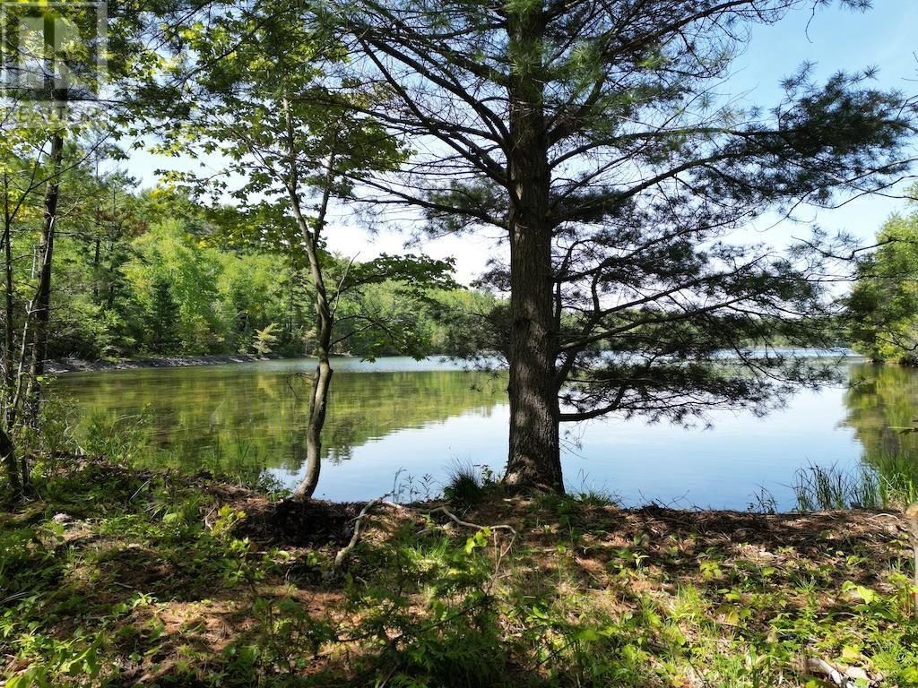 1016 Lauzon Village Rd, Algoma Mills, Ontario  P0R 1A0 - Photo 6 - SM250189