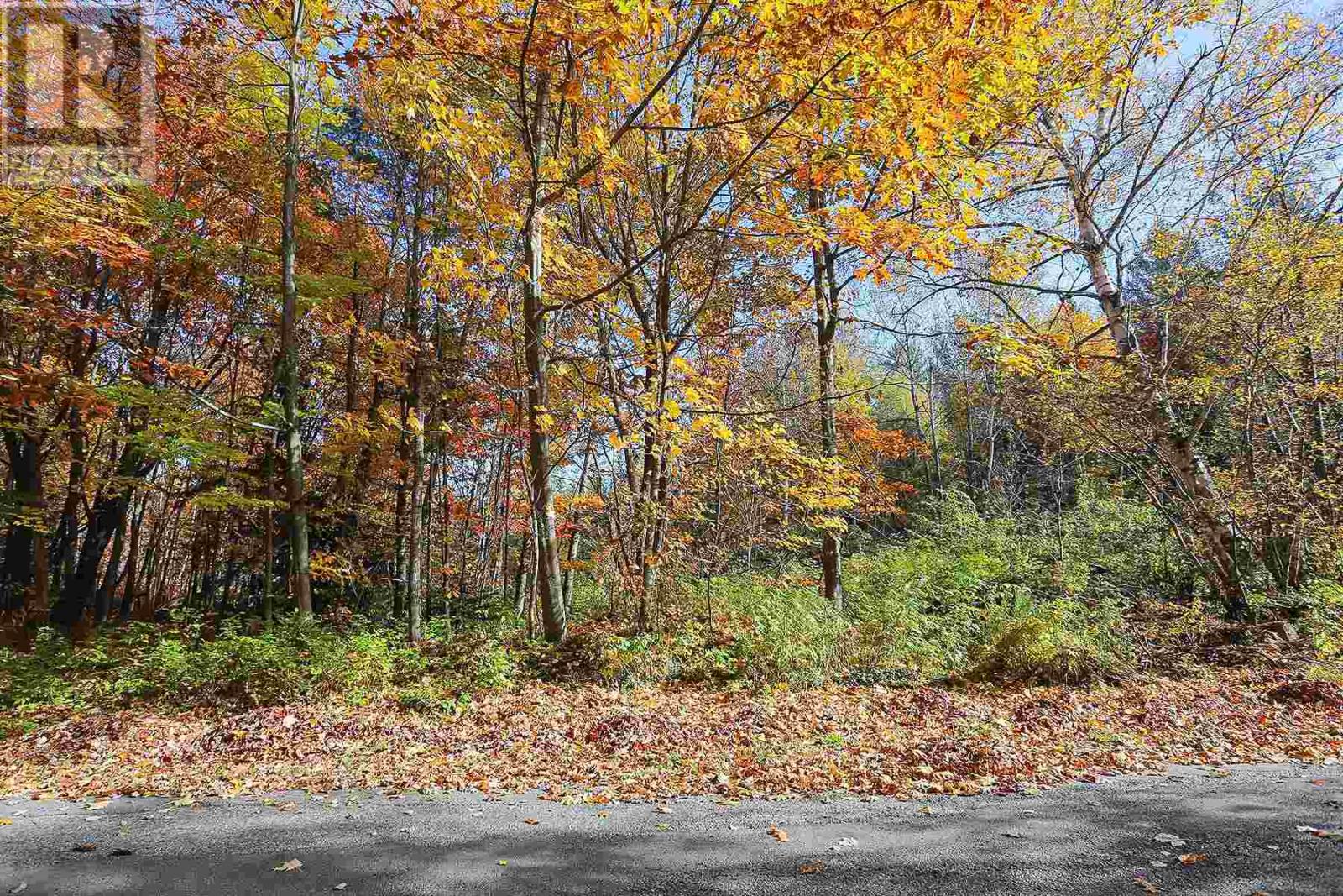 Lot 18 Nokomis Beach Rd, Sault Ste. Marie, Ontario  P6A 5K6 - Photo 1 - SM250058