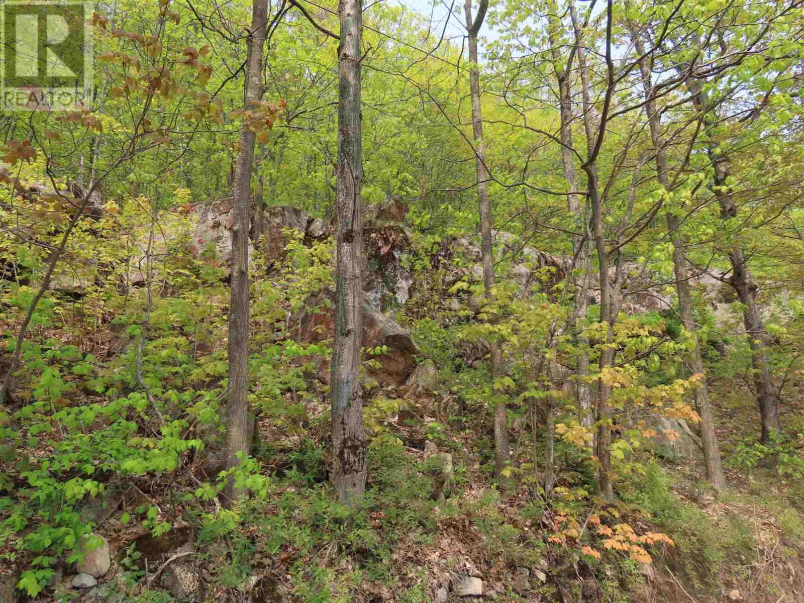 1047 & 1049 Prince Lake Rd, Prince, Ontario  P6A 6K4 - Photo 13 - SM250152
