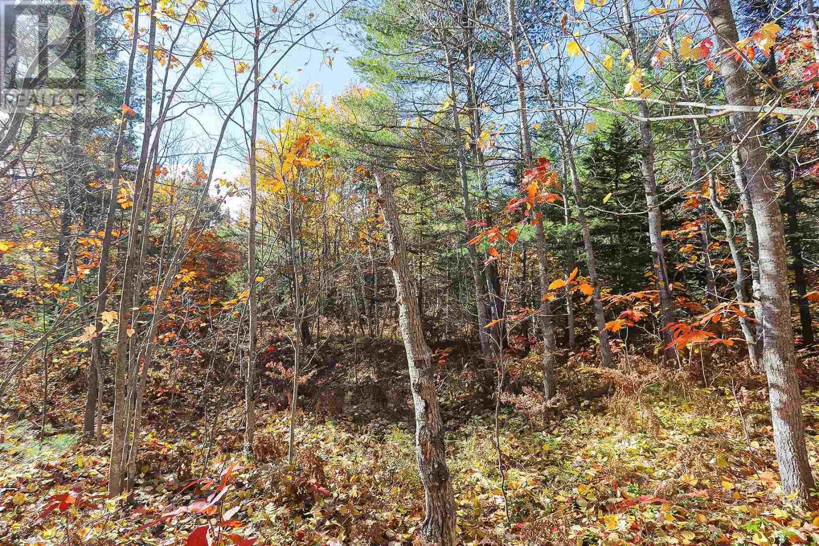Lot 18 Nokomis Beach Rd, Sault Ste. Marie, Ontario  P6A 5K6 - Photo 6 - SM250058