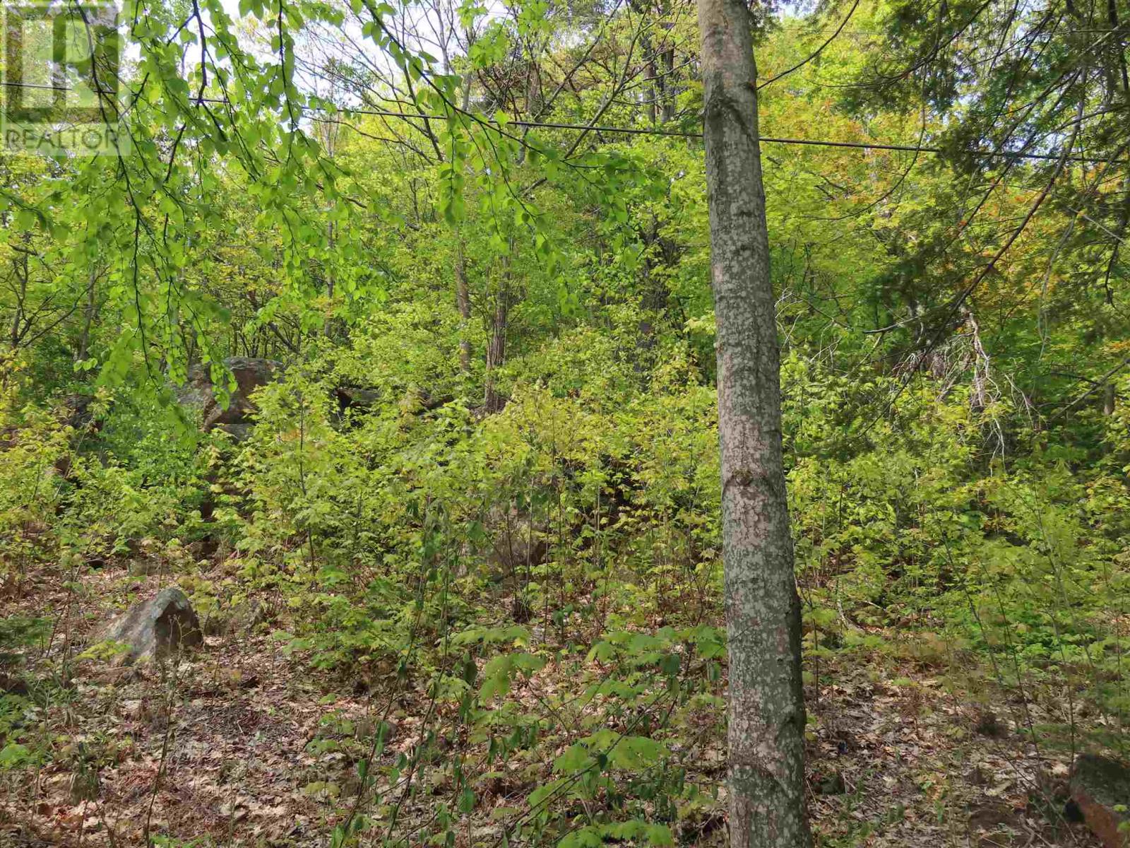 1047 & 1049 Prince Lake Rd, Prince, Ontario  P6A 6K4 - Photo 18 - SM250152