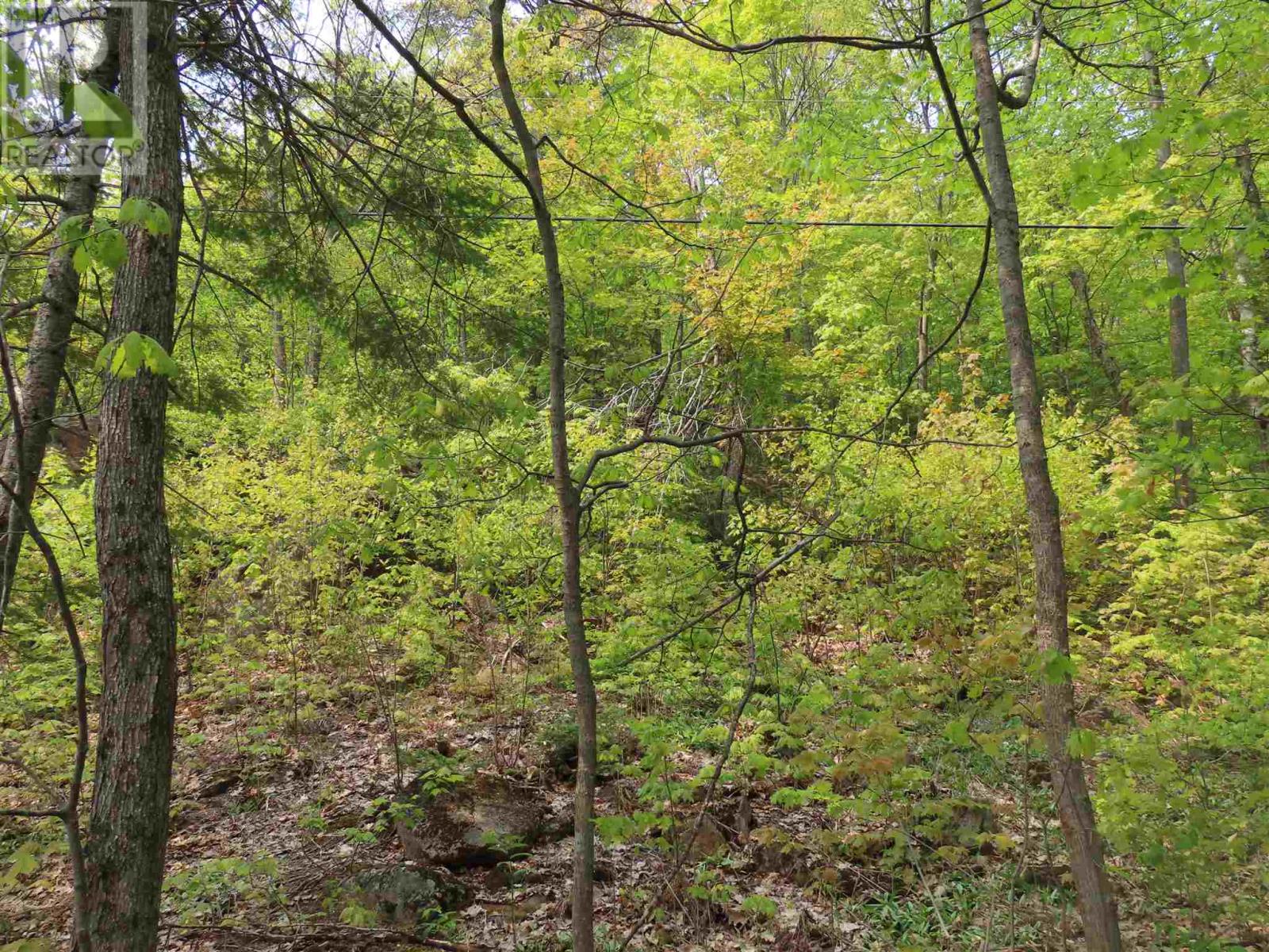 1047 & 1049 Prince Lake Rd, Prince, Ontario  P6A 6K4 - Photo 19 - SM250152