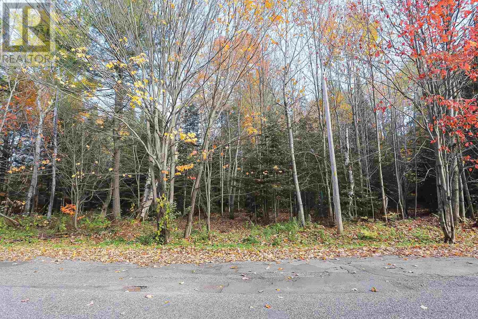 Lot 18 Nokomis Beach Rd, Sault Ste. Marie, Ontario  P6A 5K6 - Photo 9 - SM250058