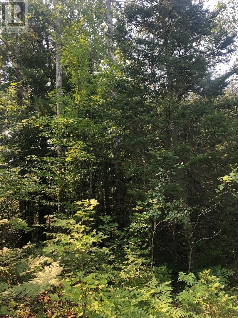 . Lt 9 Rcp H783; Huron Shores, Huron Shores, Ontario  P0R 1L0 - Photo 11 - SM250808