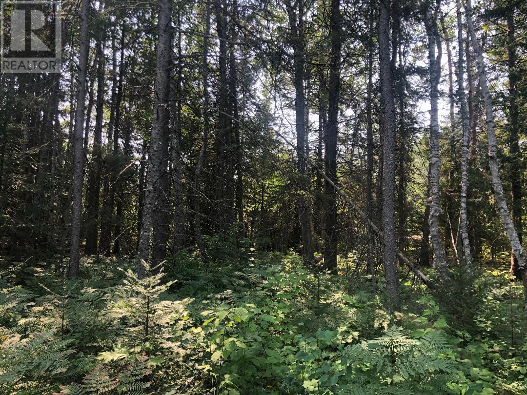 . Lt 9 Rcp H783; Huron Shores, Huron Shores, Ontario  P0R 1L0 - Photo 7 - SM250808