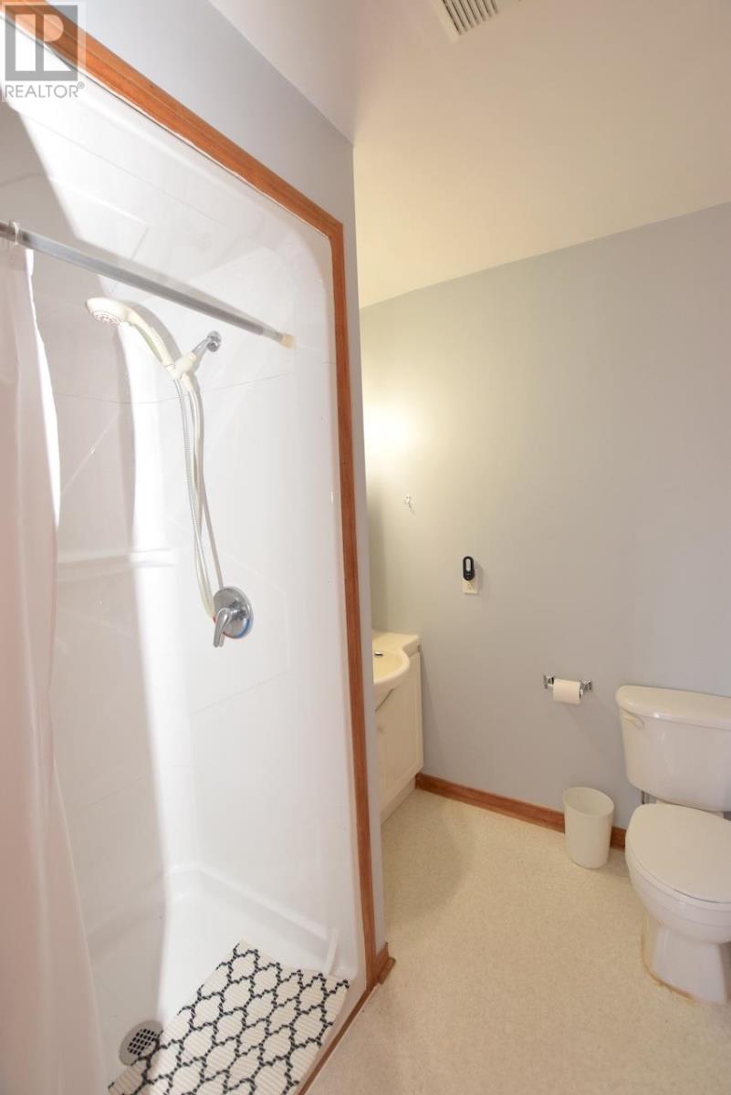 241 Woodward Ave, Blind River, Ontario  P0R 1B0 - Photo 19 - SM250123