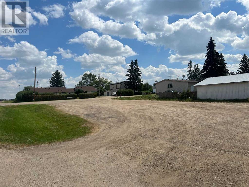 101 Second Avenue N, Torrington, Alberta  T0M 2B0 - Photo 3 - A2245116