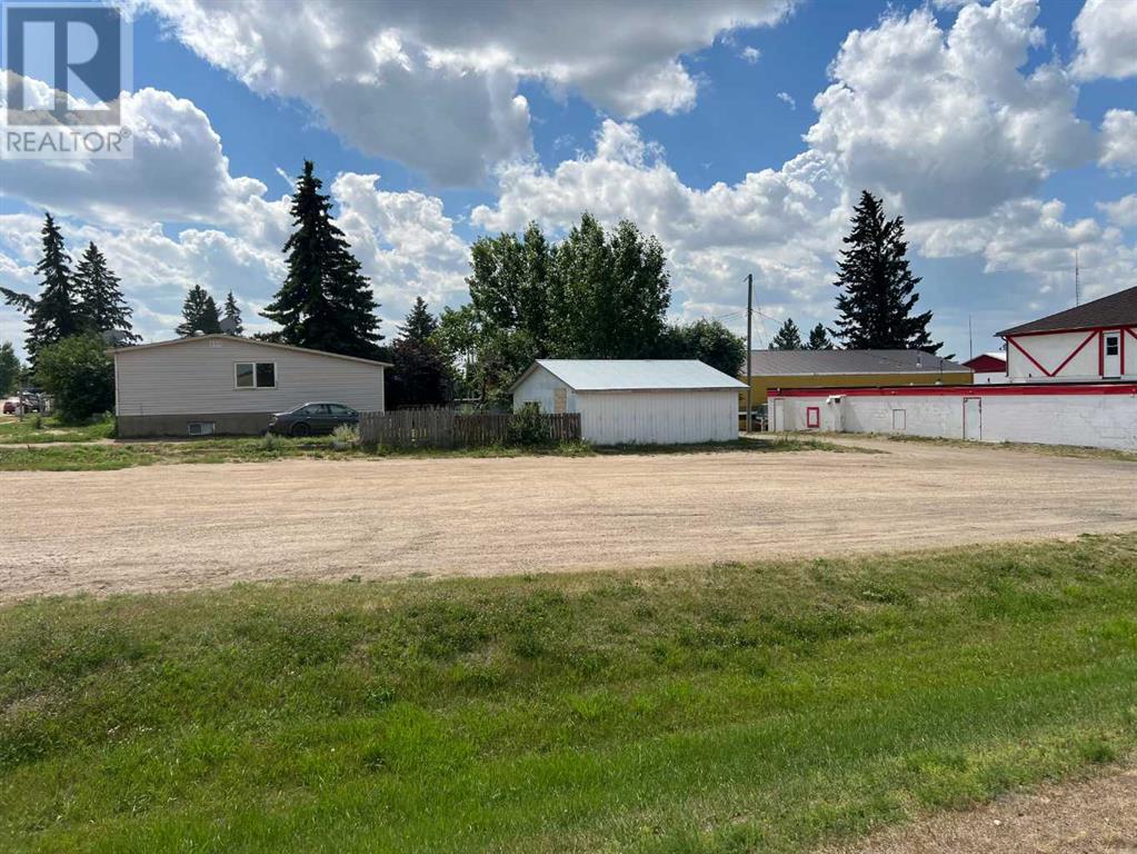 101 Second Avenue N, Torrington, Alberta  T0M 2B0 - Photo 4 - A2245116