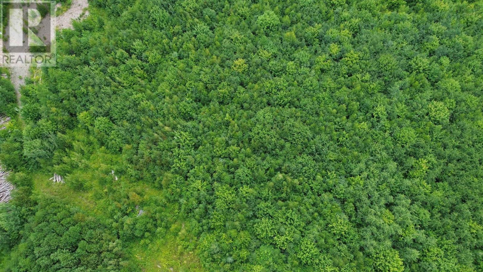 Lot 7 Peck Meadow Road, Greenfield, Nova Scotia  B4P 2R1 - Photo 4 - 202519081