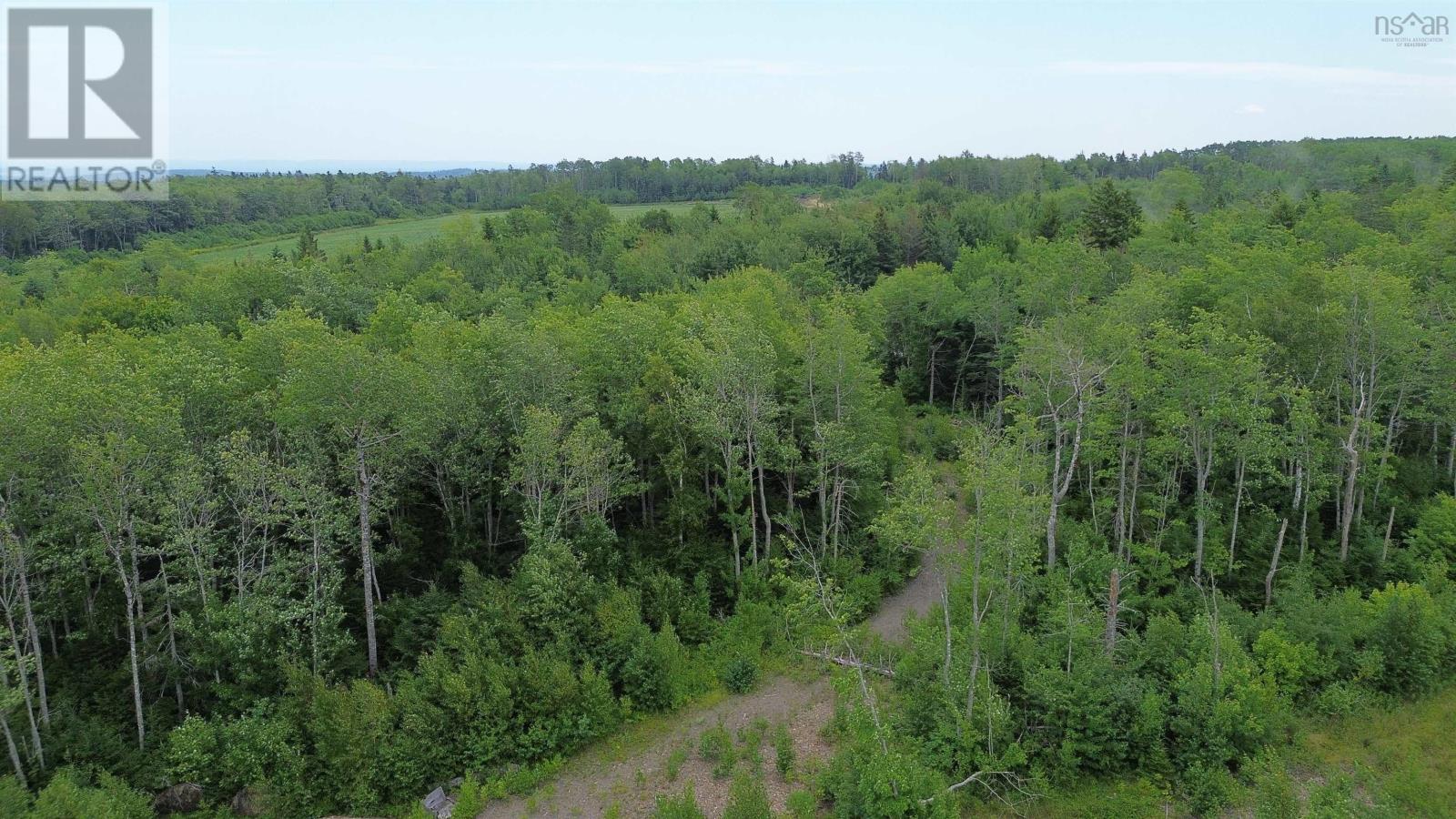 Lot 7 Peck Meadow Road, Greenfield, Nova Scotia  B4P 2R1 - Photo 7 - 202519081