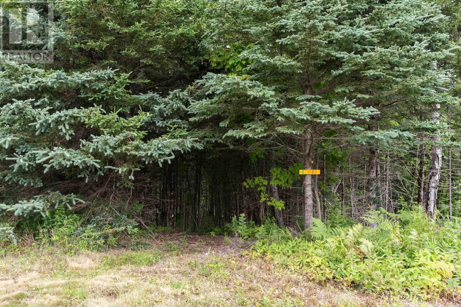 367 Wall Street, Canada Creek, Nova Scotia  B0P 1V0 - Photo 32 - 202517584