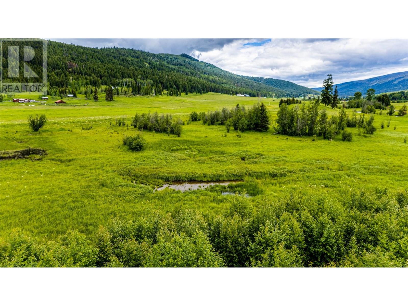 Lot 1 China Valley Road, Falkland, British Columbia  V0E 1W1 - Photo 11 - 10356678