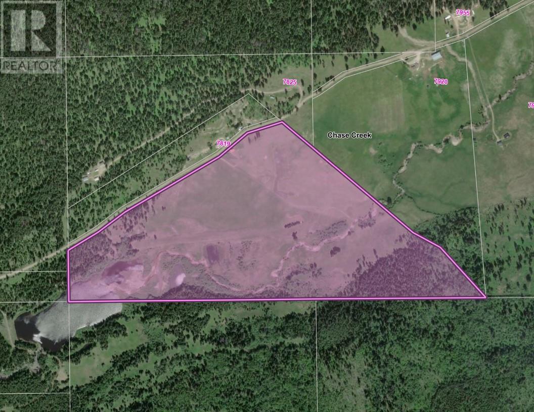 Lot 1 China Valley Road, Falkland, British Columbia  V0E 1W1 - Photo 33 - 10356678