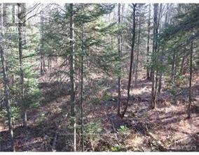 3110 Dunrobin Road, Ottawa, Ontario  K0A 1T0 - Photo 3 - X12320542