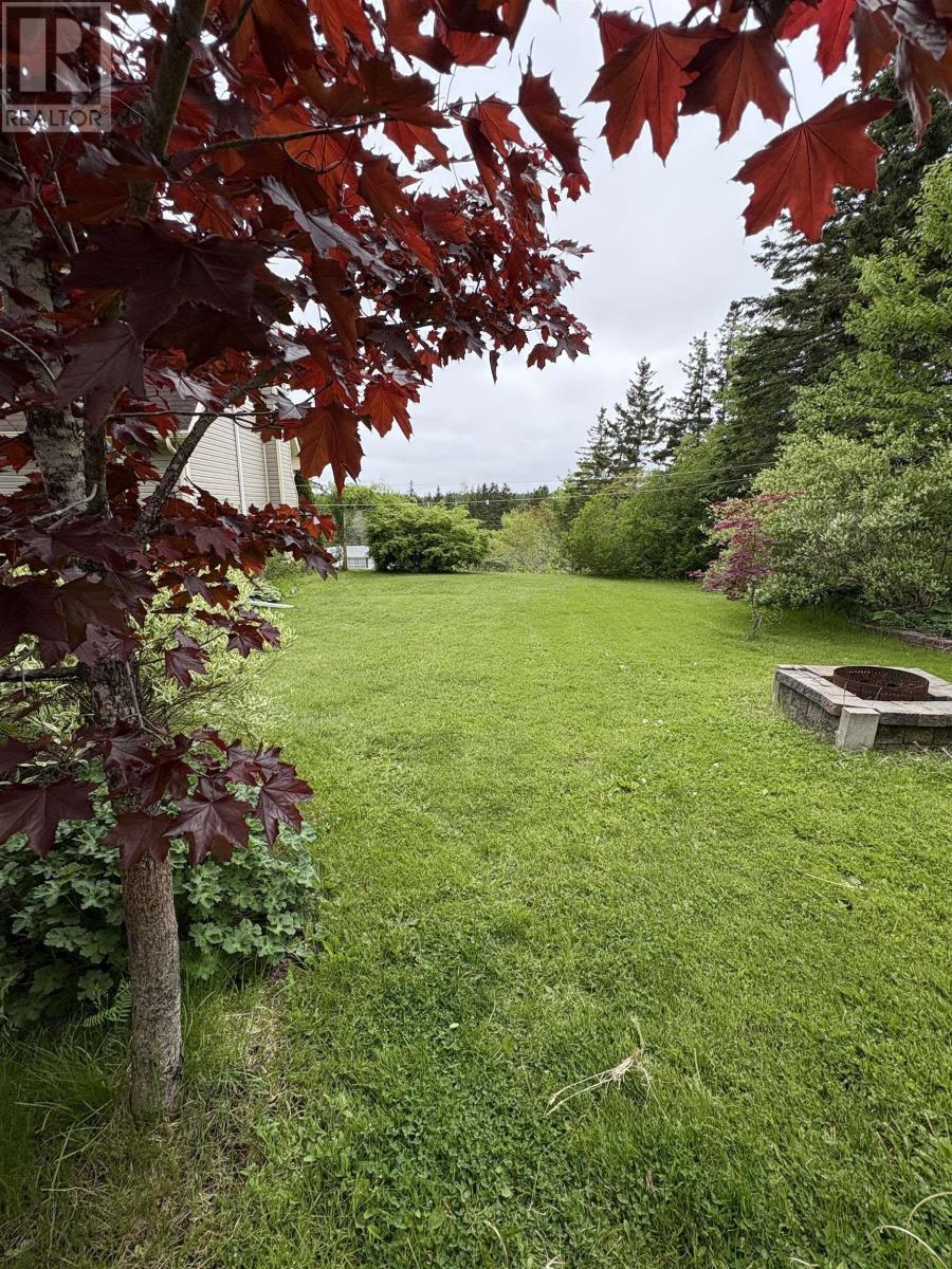 3931 Highway 4, Cleveland, Nova Scotia  B0E 1J0 - Photo 45 - 202514495