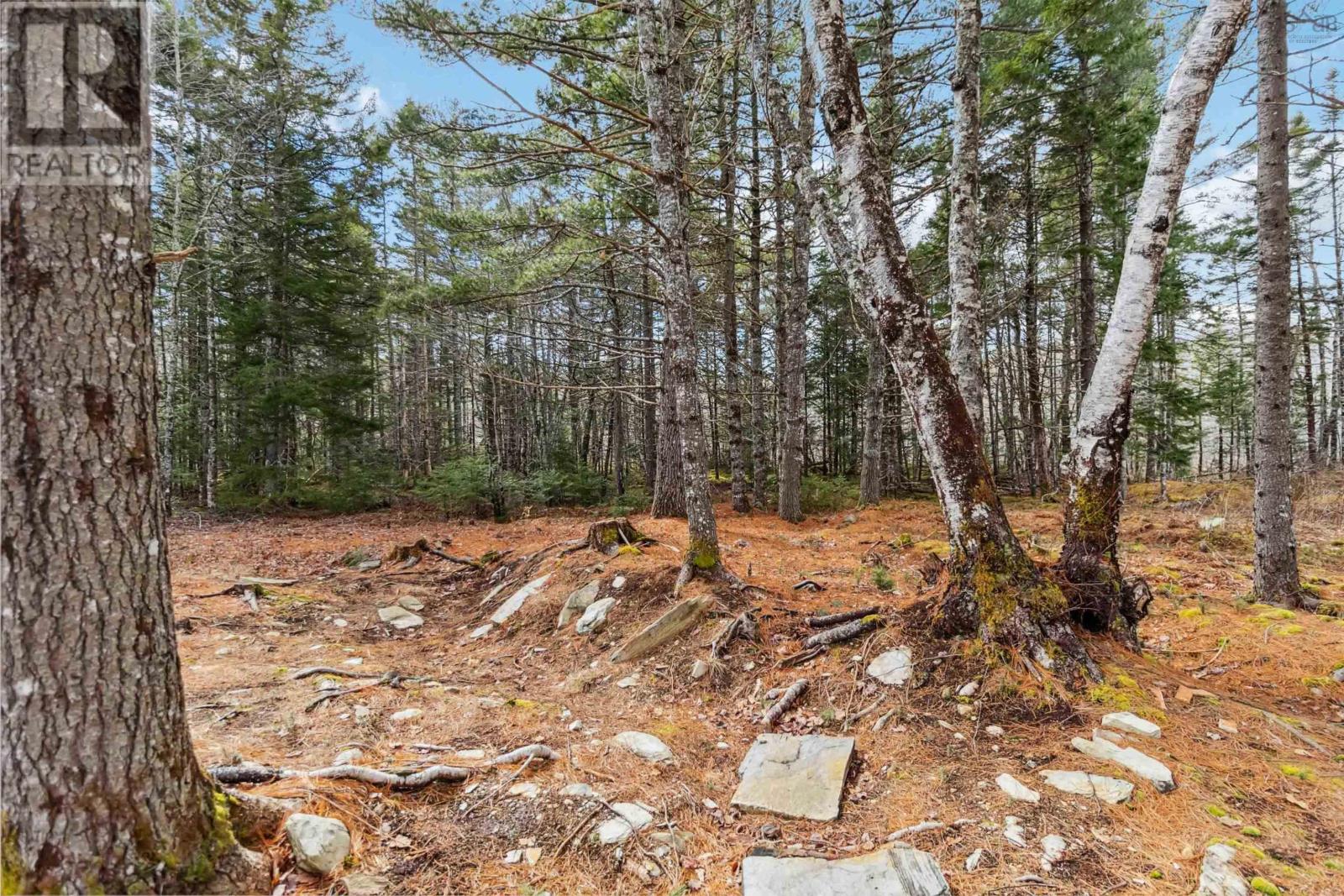 157 Freeman Lake Lane, Caledonia, Nova Scotia  B0T 1B0 - Photo 47 - 202512451