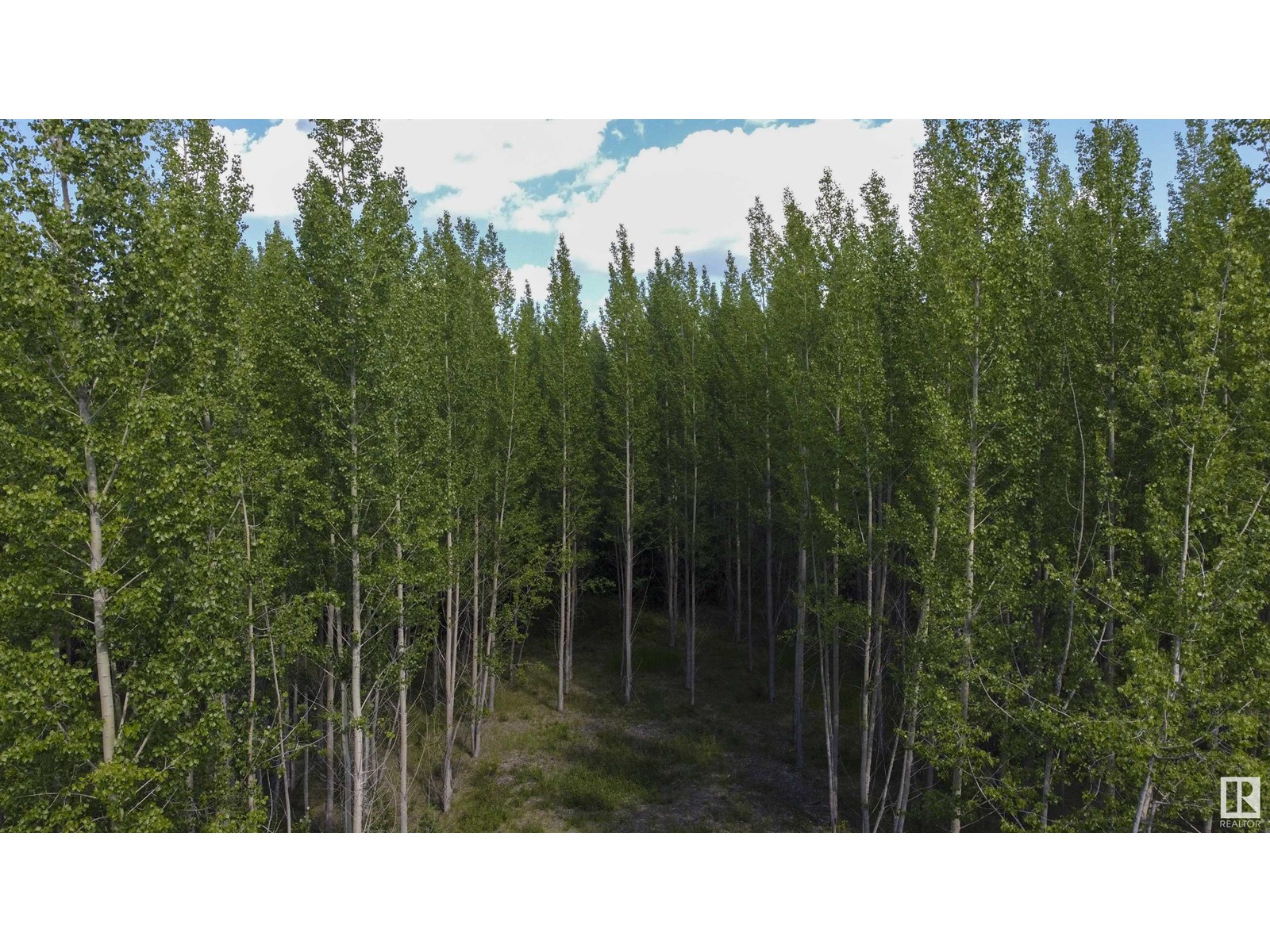 Rge Rd 24 Twp Rd 562, Rural Lac Ste. Anne County, Alberta  T0E 1A0 - Photo 11 - E4450868