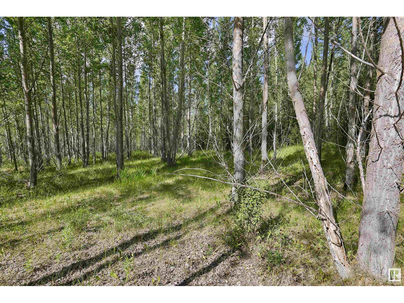 Rge Rd 24 Twp Rd 562, Rural Lac Ste. Anne County, Alberta  T0E 1A0 - Photo 9 - E4450868