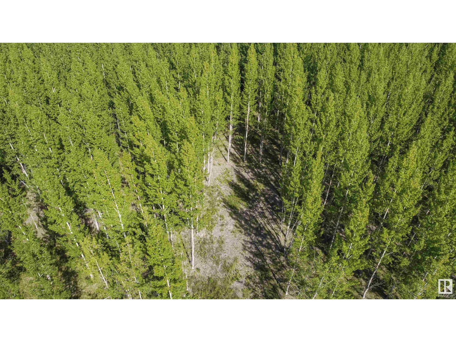 Rge Rd 24 Twp Rd 562, Rural Lac Ste. Anne County, Alberta  T0E 1A0 - Photo 10 - E4450868
