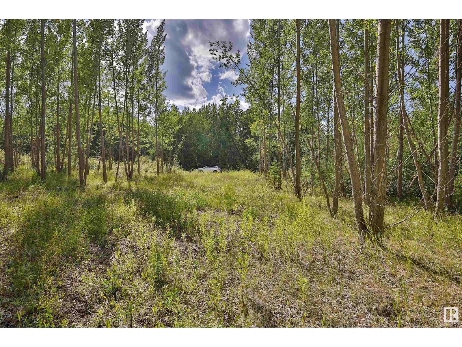 Rge Rd 24 Twp Rd 562, Rural Lac Ste. Anne County, Alberta  T0E 1A0 - Photo 5 - E4450868