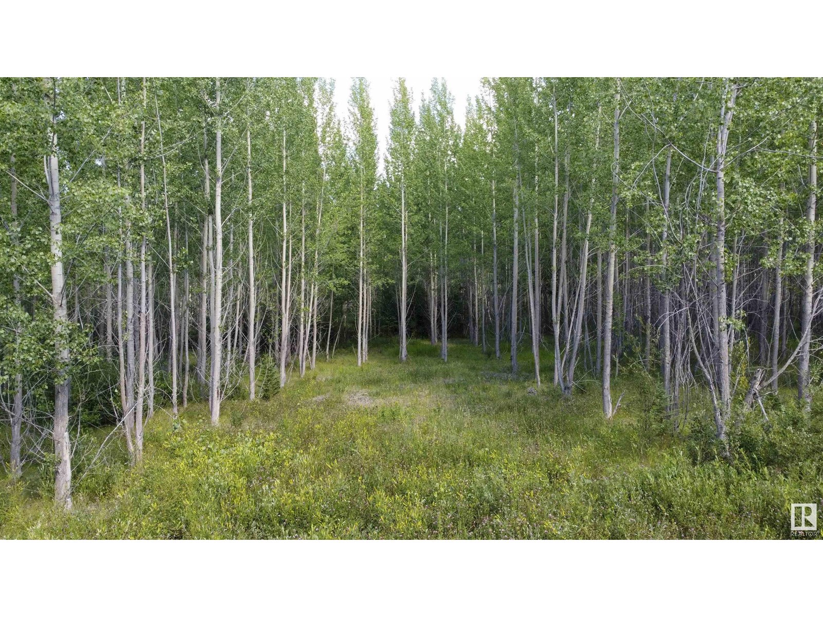 Rge Rd 24 Twp Rd 562, Rural Lac Ste. Anne County, Alberta  T0E 1A0 - Photo 2 - E4450868