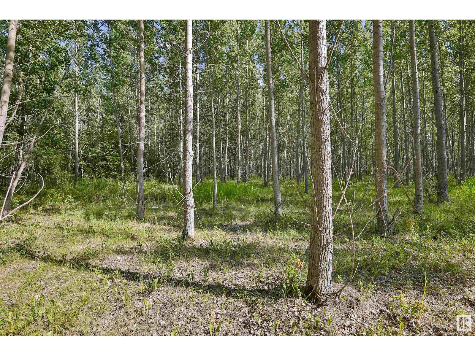 Rge Rd 24 Twp Rd 562, Rural Lac Ste. Anne County, Alberta  T0E 1A0 - Photo 8 - E4450868