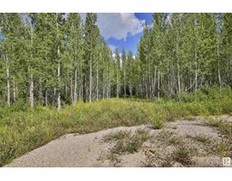 RGE Rd 24 TWP RD 562 None
