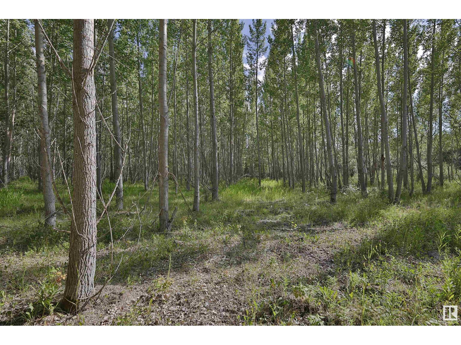 Rge Rd 24 Twp Rd 562, Rural Lac Ste. Anne County, Alberta  T0E 1A0 - Photo 3 - E4450868