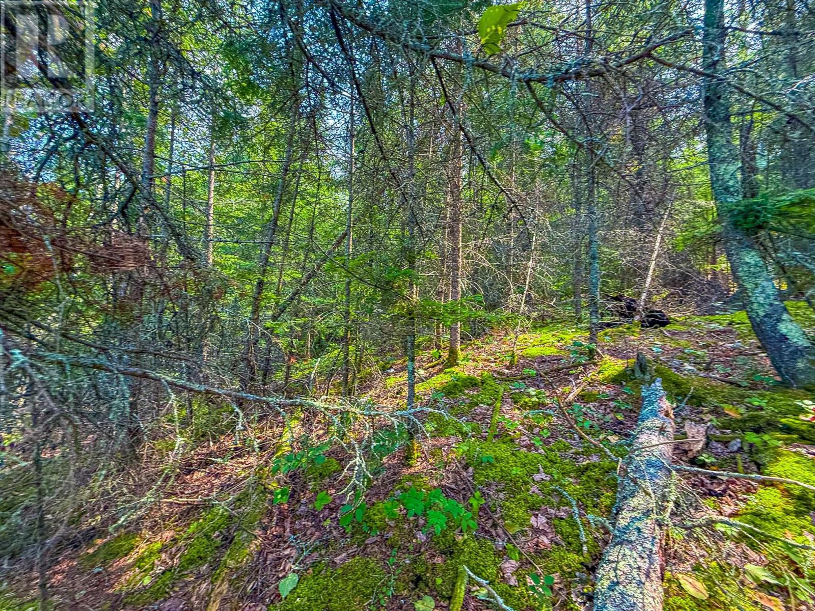 1 Pine Meadow Drive, Kenora, Ontario  P0X 1C0 - Photo 10 - TB252378