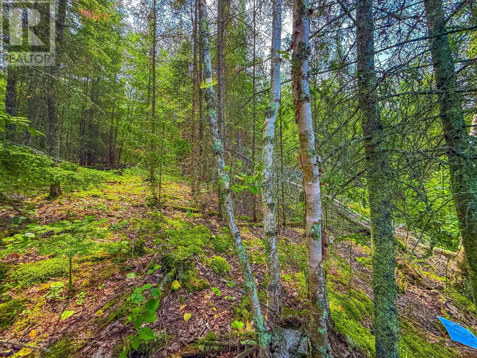 1 Pine Meadow Drive, Kenora, Ontario  P0X 1C0 - Photo 9 - TB252378